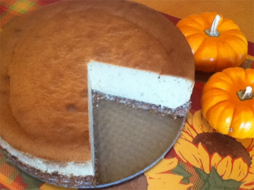 Gluten Free Coconut Cream Pumpkin Cheesecake Recipe Photo